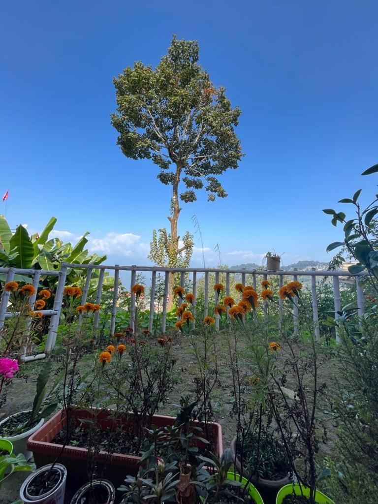 Darjeeling Bnb Exterior foto